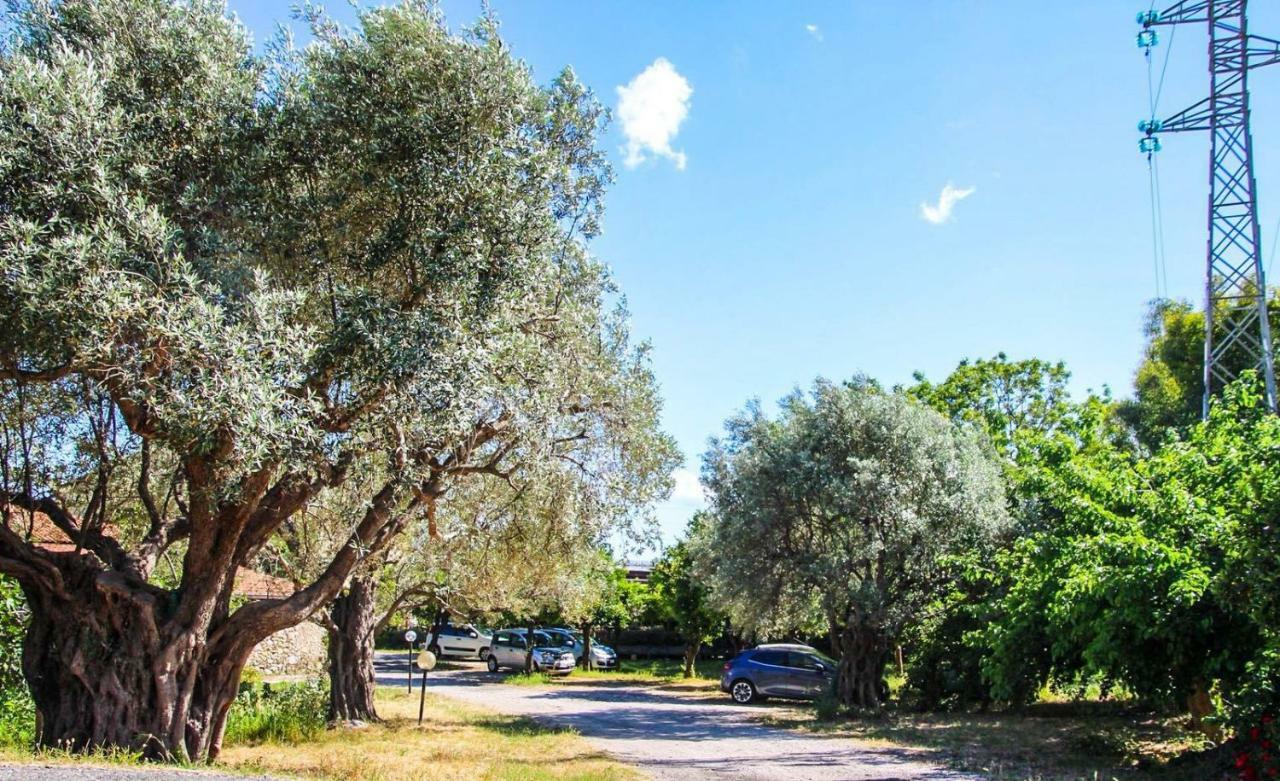 Country House Paola Marina di Gioiosa Ionica Kültér fotó